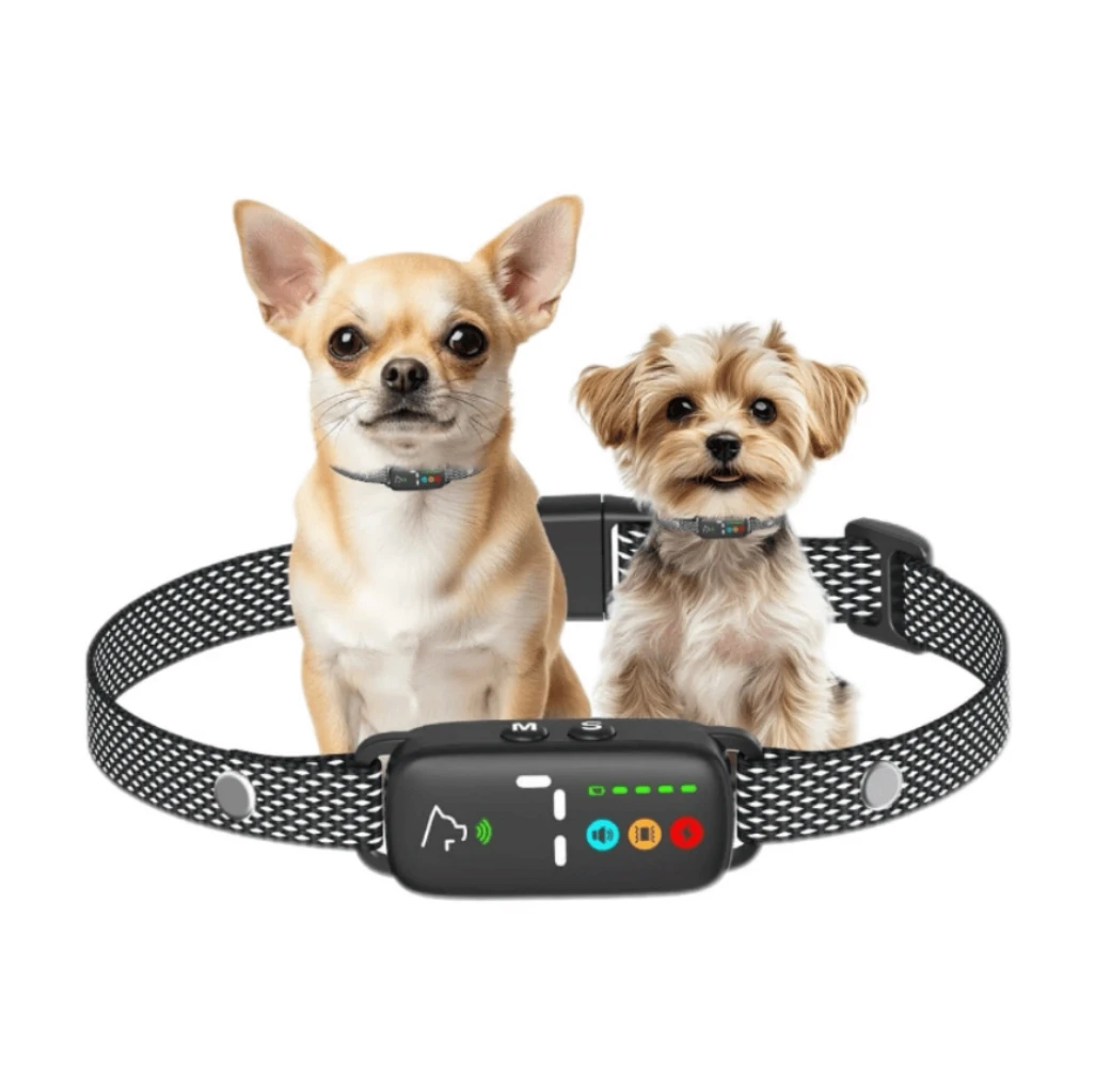 Collare antiabbaio per cani