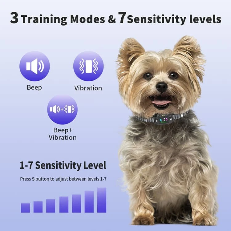 Non Shock Bark Collars For Small Dogs high quality